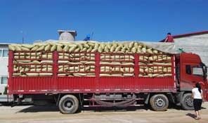 專業(yè)物流運(yùn)輸，保障發(fā)貨快速順暢